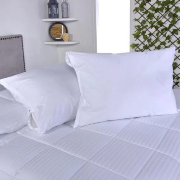 Juego de 2 Almohadas + Protector antifluido blanco